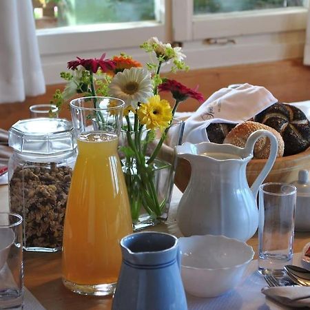 Grosszuegige Ferienwohnung Am Skigebiet Boedele Mit Rheintalblick ดอร์นเบิร์น ภายนอก รูปภาพ