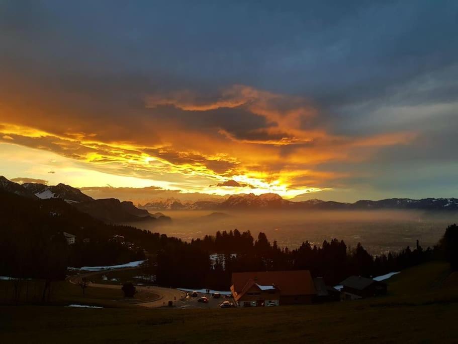 Grosszuegige Ferienwohnung Am Skigebiet Boedele Mit Rheintalblick ดอร์นเบิร์น ภายนอก รูปภาพ