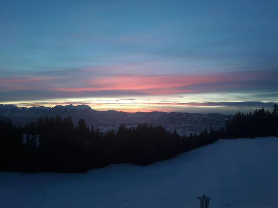 Grosszuegige Ferienwohnung Am Skigebiet Boedele Mit Rheintalblick ดอร์นเบิร์น ภายนอก รูปภาพ