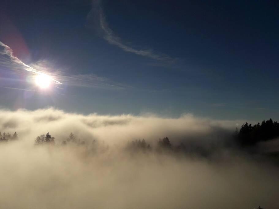 Grosszuegige Ferienwohnung Am Skigebiet Boedele Mit Rheintalblick ดอร์นเบิร์น ภายนอก รูปภาพ
