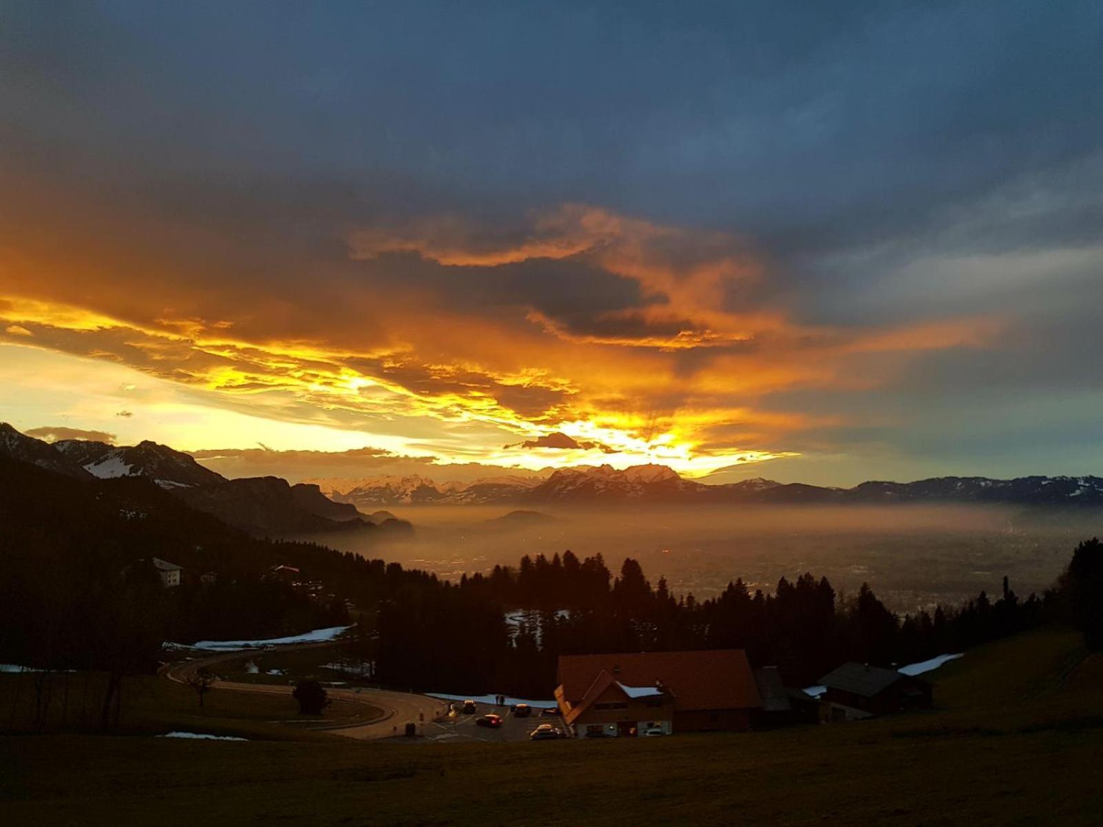 Grosszuegige Ferienwohnung Am Skigebiet Boedele Mit Rheintalblick ดอร์นเบิร์น ภายนอก รูปภาพ